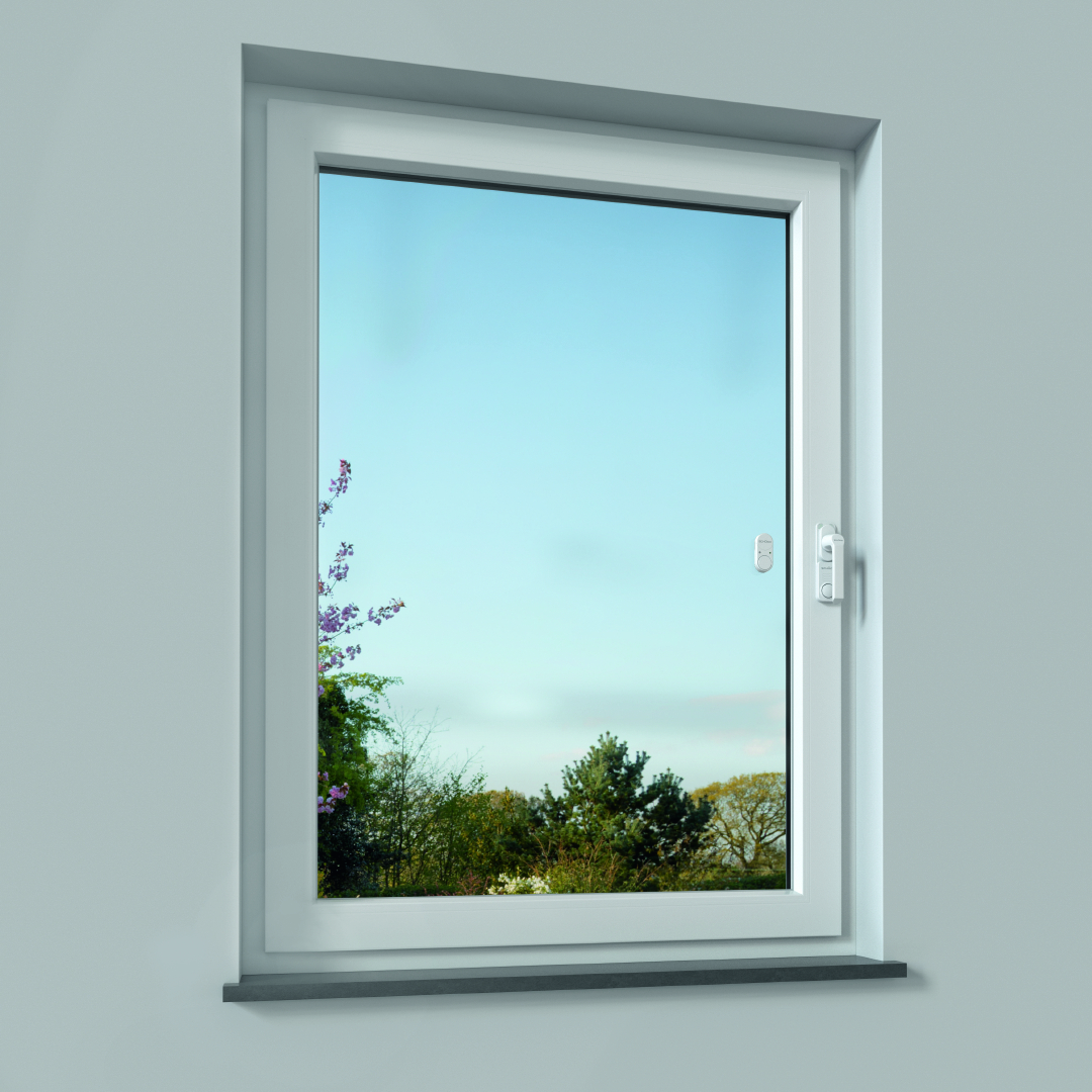 Fenster